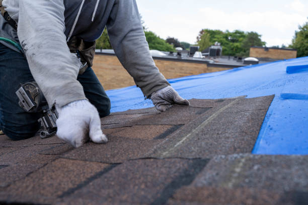 Quick and Trustworthy Emergency Roof Repair Services in Saranap, CA